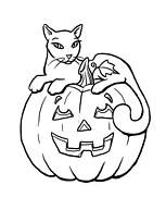 coloriage chat sur citrouille d halloween